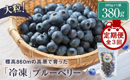 【定期便】治助ファームの北部ハイブッシュブルーベリー「冷凍果実」380g×3回 | ブルーベリー LJ100