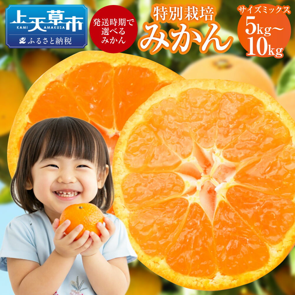 【ふるさと納税】【配送時期が選べる】【先行受付】特別栽培みかん 5kg 7kg 10kg サイズミックス 極早生 早生 熊本県産 果物 フルーツ 蜜柑 柑橘 送料無料 【2025年9月下旬から2026年1月下旬発送開始】
