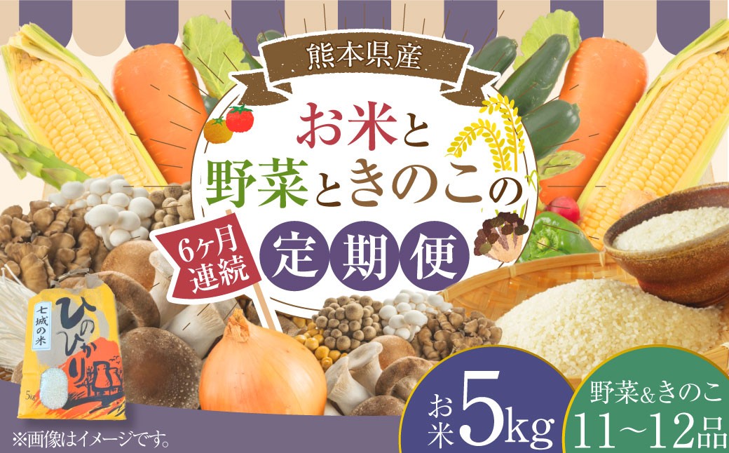 
            【6ヶ月連続定期便】 【令和7年度産】  熊本県（七城）産のお米と熊本県産の野菜ときのこ お米（5kg）・野菜＆きのこ（11～12品） 精米 単一原料米 ひのひかり   ジャガイモ ニンジン シイタケ  【2026年1月上旬発送開始】
          