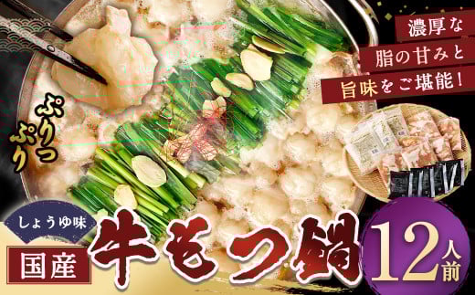 国産牛もつ鍋12人前 ちゃんぽん 濃縮スープ付（醤油味） もつ ホルモン 鍋 お鍋 セット 冷凍 岡垣町