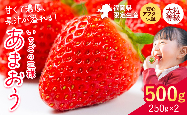 ★2027年出荷★ あまおう いちご 500g 【着日指定不可】《2月中旬-3月中旬頃出荷》苺 いちご イチゴ フルーツ 特産品---kr_ckramar_q2_26_6000_500g---