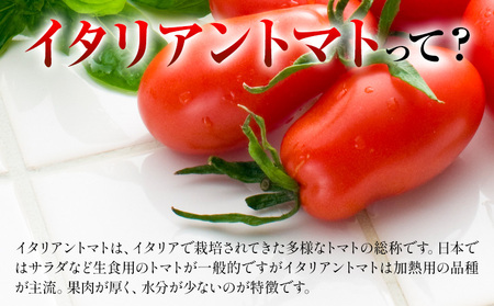 北海道産 調理用 イタリアントマト 1kg スープ レトルト 冷凍食品 惣菜 浦幌