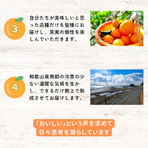 【期間限定・3/31まで】紅八朔１kg※1月下旬から順次発送予定※ / 和歌山県 はっさく フルーツ 果物 柑橘 田辺市 【nak011】