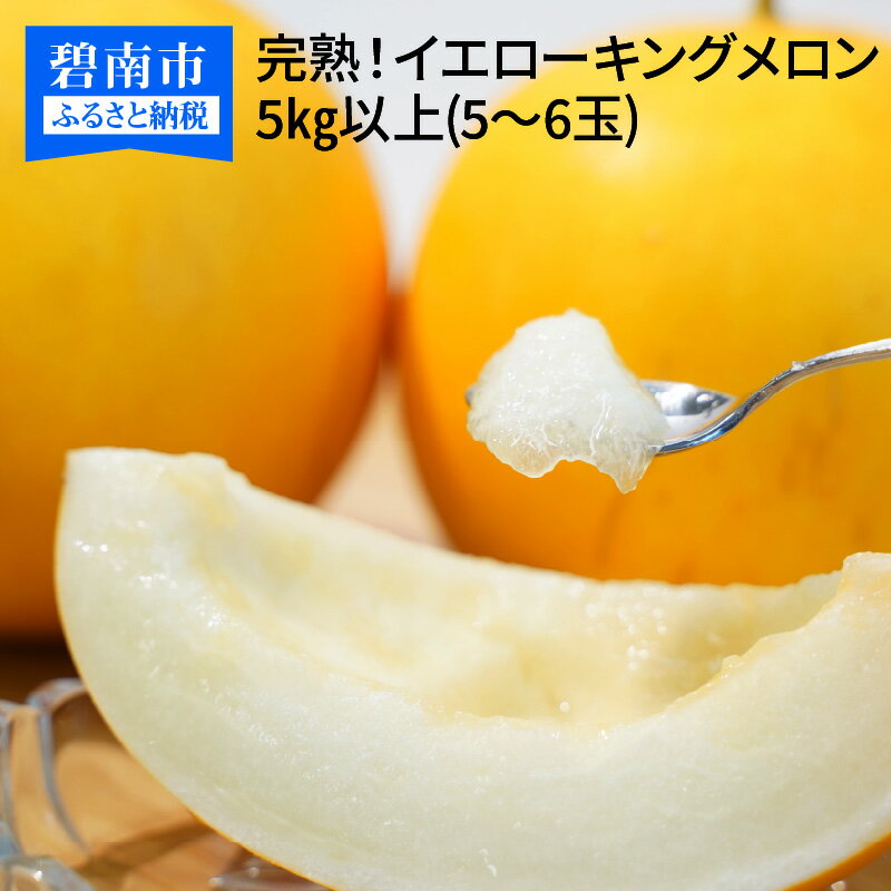 【ふるさと納税】 2025年発送 完熟 イエローキングメロン 5kg 以上 5玉〜6玉 甘い 糖度 13〜15 度 メロン おすそ分け 鈴良農園 愛知県 碧南市 送料無料
