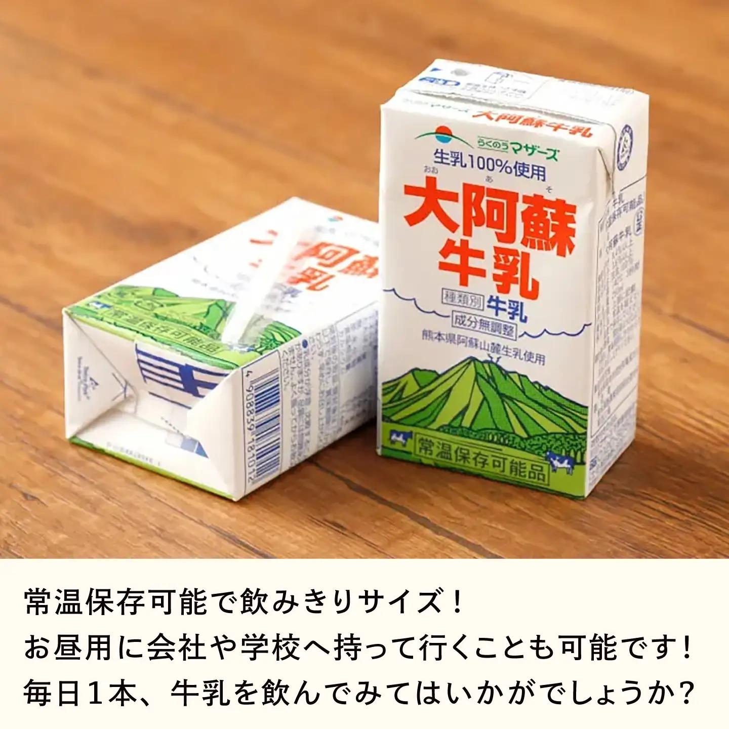 【全12回定期便】大阿蘇 牛乳 250ml24本入り 牛乳 BHBY024