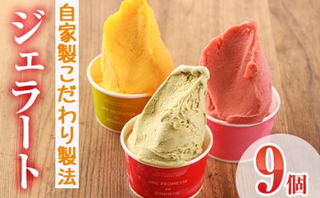 【I-2】＜先行予約受付中！2025年7月から順次発送予定＞自家製こだわり製法！自家製ジェラート(9個)【ミツル・プラス】