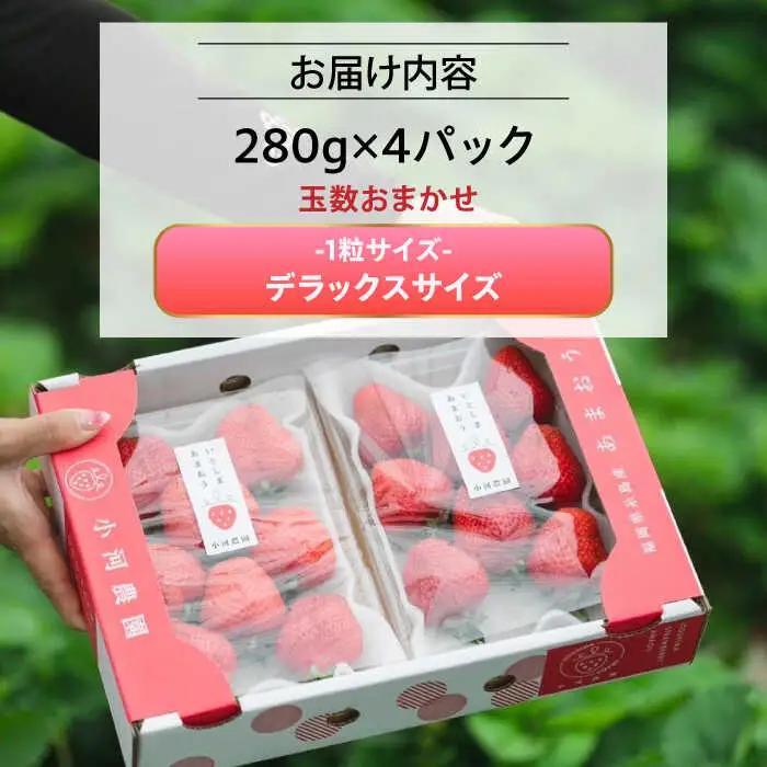 【先行受付】糸島産 完熟あまおう 280g×4パック (デラックスサイズ)【2027年1月以降順次発送】糸島市 / 小河農園 いちご フルーツ 果物 [AJN002]