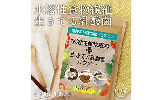 水溶性食物繊維＋生きてる乳酸菌パウダー (500g×2) 食物繊維 乳酸菌パウダー 粉 ヨーグルト 飲み物 F20E-816