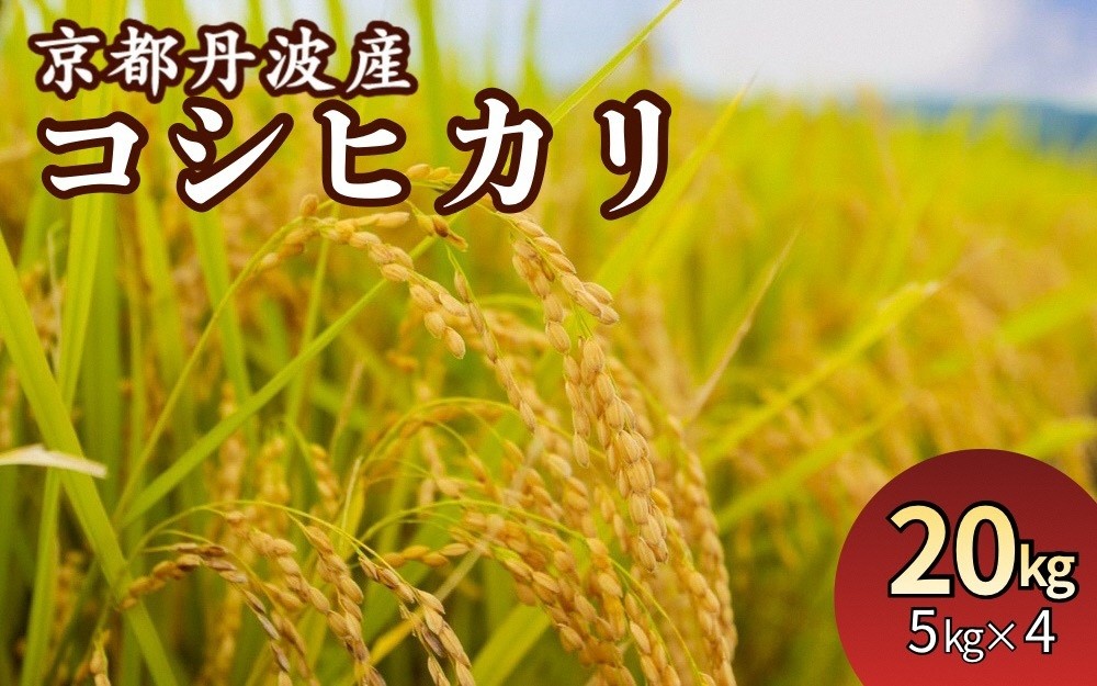 
                  京都丹波産 こしひかり 精米 5kg 4袋 総量 20kg【JA京都たわわ朝霧】白米 米 お米 こめ コメ ライス ご飯 ごはん ふっくら つやつや おいしい 美味しい 贈り物 JA京都 たわわ朝霧 単一原料米 簡易包装 国産 コシヒカリ 仕送り お取り寄せ 令和7年産米 産地直送 人気 おすすめ 5キロ 20キロ ５ｋｇ ２０ｋｇ
                