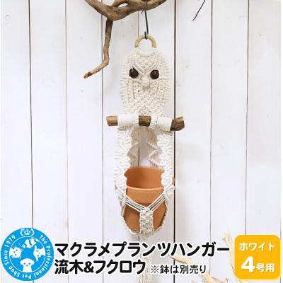 ふるさと納税 邑楽町 マクラメプランツハンガー 流木&amp;フクロウ 4号用【ホワイト】|09_chm-d60101ba