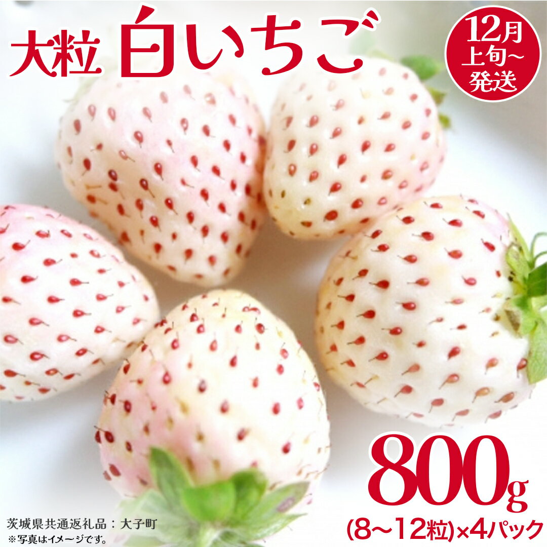 【ふるさと納税】白いちご 大粒 200g（8～12粒）×4パック【2025年12月上旬発送開始】(茨城県共通返礼品：大子町) いちご 苺 果物 フルーツ 果実
