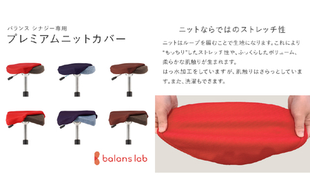 バランス シナジー(カバー付き)ラウンドシート/スクエアシート 椅子 いす イス 腰痛 腰痛対策 腰痛予防 姿勢 ブナ材 岐阜県 美濃市 R/本体G+カバーR