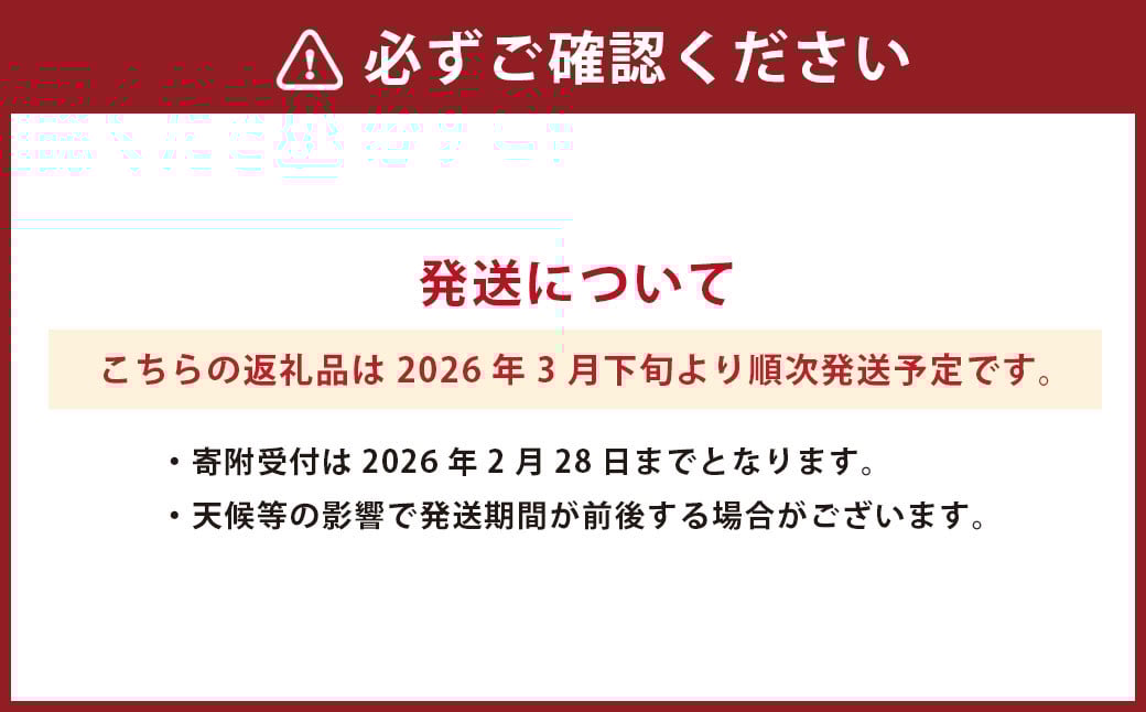 熊本県産清見 約3kg