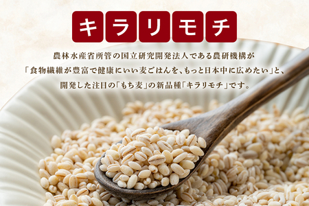もち麦 常陸大宮産 キラリモチ 300g×3袋 大麦 雑穀 【もち麦】【ho1248】