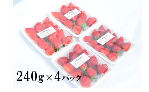【2月上旬～4月上旬順次発送】小さなくだもの畑のいちご 三次市/小さなくだもの畑 [APAQ002]