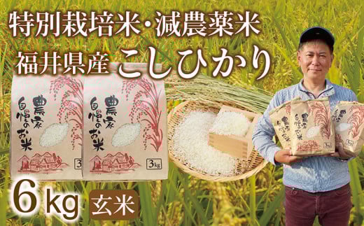 〈先行予約・新米〉減農薬米 こしひかり 6kg(3kg×2袋) ／令和7年 福井県産 （玄米）2025年10月発送 人気品種 少量サイズ便利