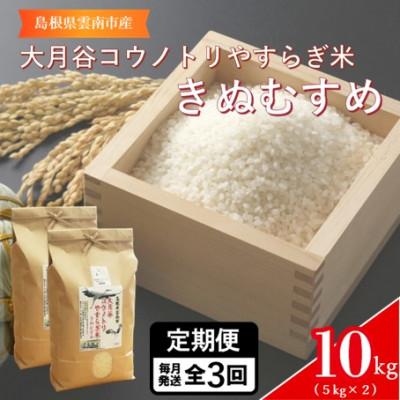 ふるさと納税 雲南市 【毎月定期便】島根県雲南市「大月谷コウノトリやすらぎ米」きぬむすめ　10kg(5kg×2)全3回