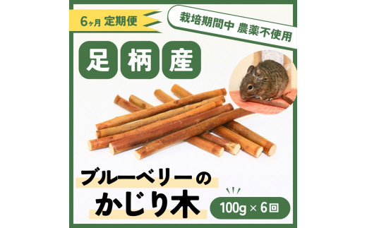 
【定期便6ヵ月】足柄産ブルーベリーのかじり木100g×6回＜毎月お届け＞【 ペット 神奈川県 南足柄市 】
