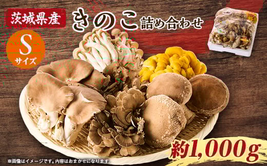 
            茨城県城里町産 きのこの詰め合わせ Sサイズ 約1kg【1593968】
          