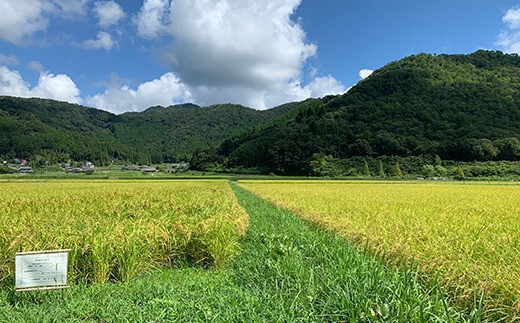 【令和7年産】お米のおいしさ伝えたい！特別栽培米コシヒカリ5kg×4
