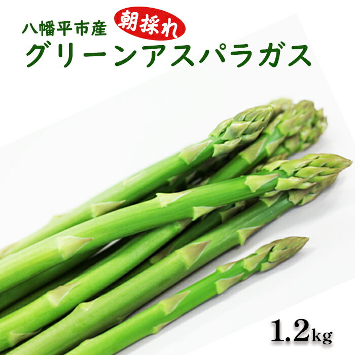 【ふるさと納税】 アスパラ 岩手県産 グリーンアスパラガス 1.2kg（200g×6束）／ アスパラガス グリーンアスパラ あすぱら あすぱらがす 野菜 新鮮 採れたて 朝採れ 季節限定 期間限定 旬 小分け 美味しい おすすめ 農家直送 田村和大 岩手県 八幡平市 産地直送 送料無料