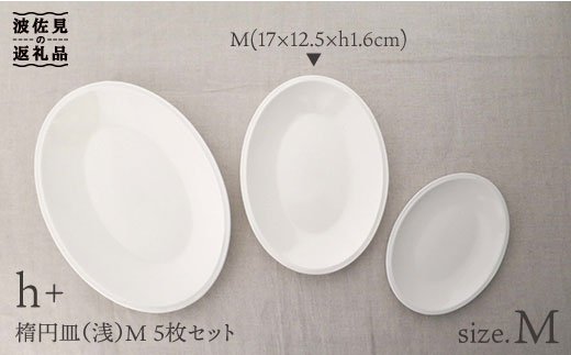 【波佐見焼】h+ 楕円皿 (浅) プレート M 5枚セット【堀江陶器】 [JD19]