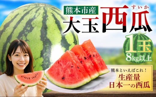 大玉西瓜（1玉入り）8kg以上 すいか スイカ【2026年5月上旬～7月上旬迄順次発送予定】