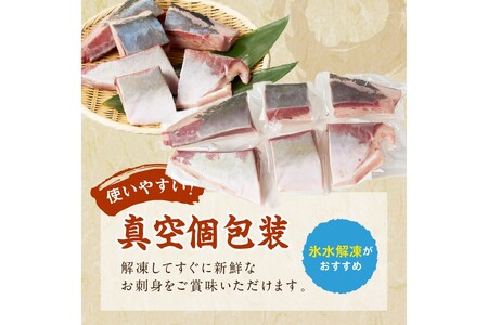 魚屋が捌く寒ブリ約1kg切り身　ロイン（6ブロック）冷凍