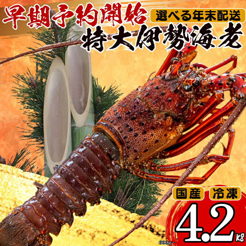 【ふるさと納税】 【年末早期予約受付中】特大 伊勢海老 選べる 容量 600g ～ 4.2kg 以上 冷凍 ( 特大サイズ 急速冷凍 えび エビ 高級 鮮魚 海鮮 魚介 刺身 焼き物 汁物 ギフト 贈答 贈り物 祝い 歳暮 中元 年末 年始 早期 予約 )