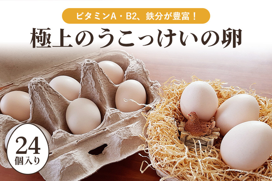 
                  平飼い極上のうこっけいの卵　24個（20＋補償4個） たまご タマゴ 玉子 烏骨鶏 烏骨鶏の卵 安全 テレビ TV マニアさん ご飯 すき焼き 目玉焼き 卵焼き 玉子焼き たまご焼き 卵かけご飯 卵かけごはん TKG 卵 37-A
                