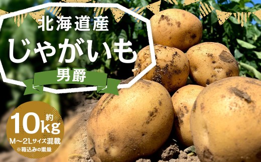 北海道産 じゃがいも 男爵 M～2Lサイズ混載 約10kg 1箱 山田農場 ジャガイモ 芋 いも イモ 国産 【2026年9月下旬-2027年1月上旬迄発送予定】