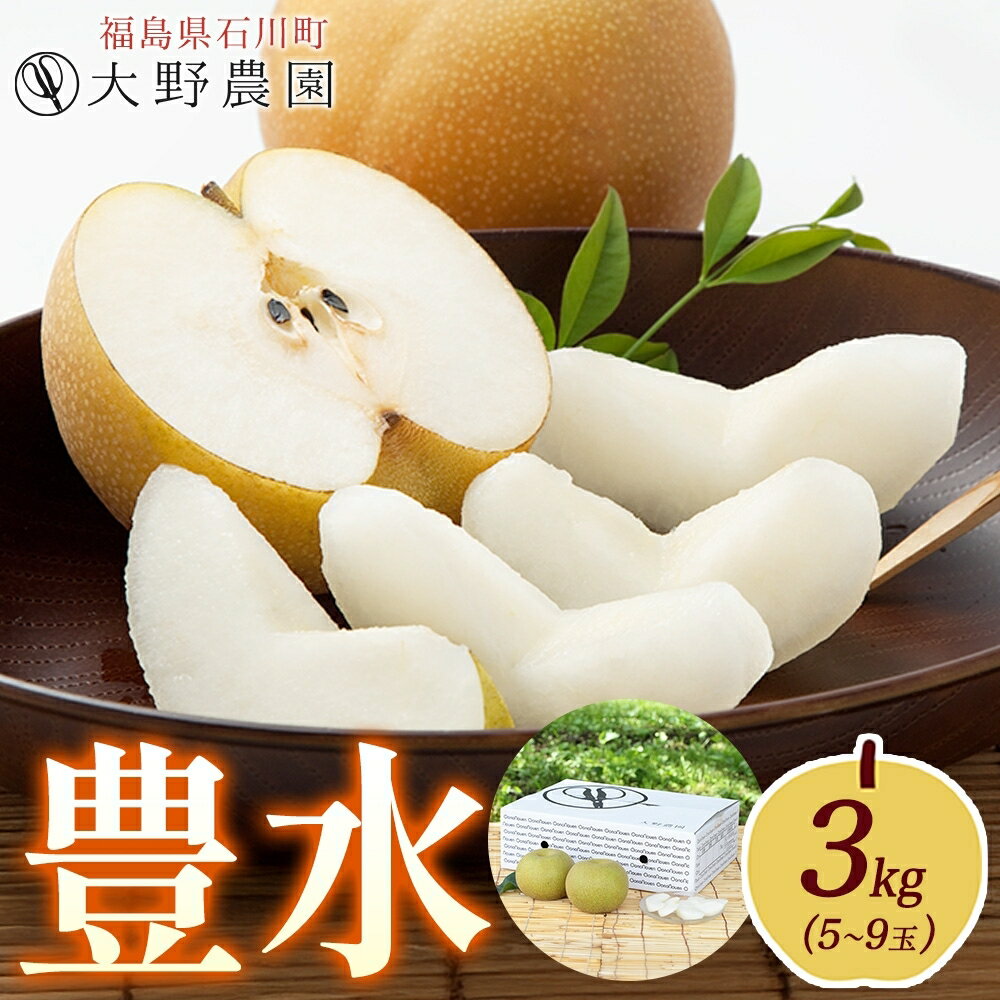 【ふるさと納税】梨3kg 豊水 5～9玉 ｜ なし 旬 果物 フルーツ 甘い シャキシャキ 産地直送 新鮮 お取り寄せ 大野農園 福島県 石川町【19007】