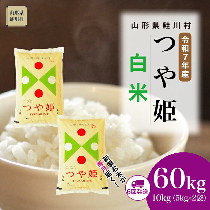 【ふるさと納税】＜令和7年産米＞ 鮭川村 特別栽培米 つや姫 【白米】 定期便 60kg （10kg×1ヶ月間隔で6回お届け）