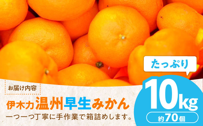 ※【2026年11月より順次発送／先行予約】力温州早生みかん10kg(ご家庭用、箱入り) / みかん 温州みかん 柑橘 蜜柑 ミカン 果物 / 諫早市 / 末永果樹園 [AHBD002]