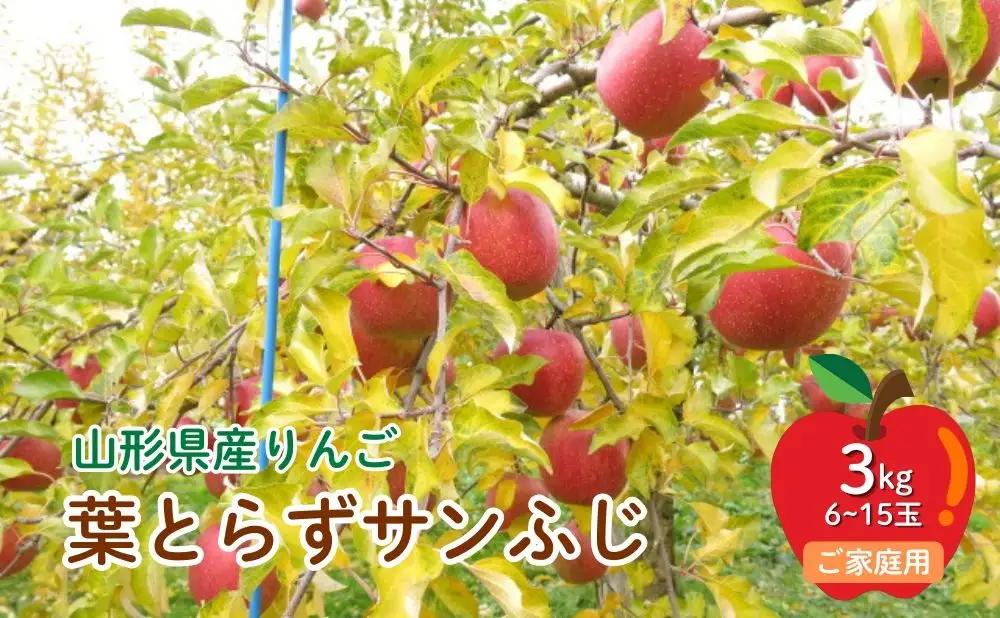 【2027年1月～発送】訳あり(ご家庭用) りんご 葉とらずサンふじ 3kg 0075-2625