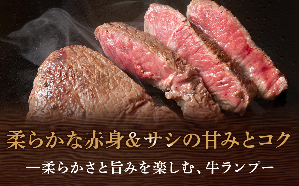 ナカガワ牛ランプ 100g×10 計1000g