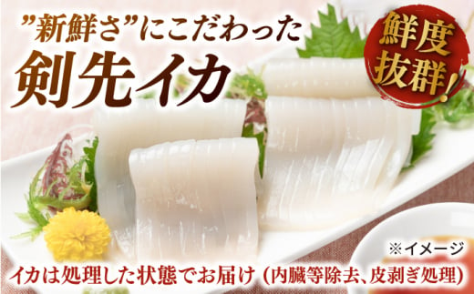 剣先イカ 5本 セット【丸徳水産】《対馬市》鮮度抜群 新鮮 ケンサキイカ シロイカ 下処理済 刺身 BBQ 惣菜 天ぷら フライ 海鮮 [WAE011]冷凍 あかいか 剣先いか 簡単調理 もう1品 処