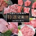 【ふるさと納税】国産黒毛和牛『上村和牛』特選牛肉【定期便】全4回（1.4.7.10月お届け）牛肉 宮崎 ふるさと納税 焼肉 黒毛和牛 スライス ステーキ イチボ 国産 宮崎県産 送料無料 カミチク＜5.5-5＞