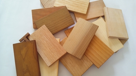 広葉樹見本帳「森の響」(広葉樹40種類のサンプル板 60×110mm（板）40枚)学び 教材 インテリア 木製 ギフト【50-1】