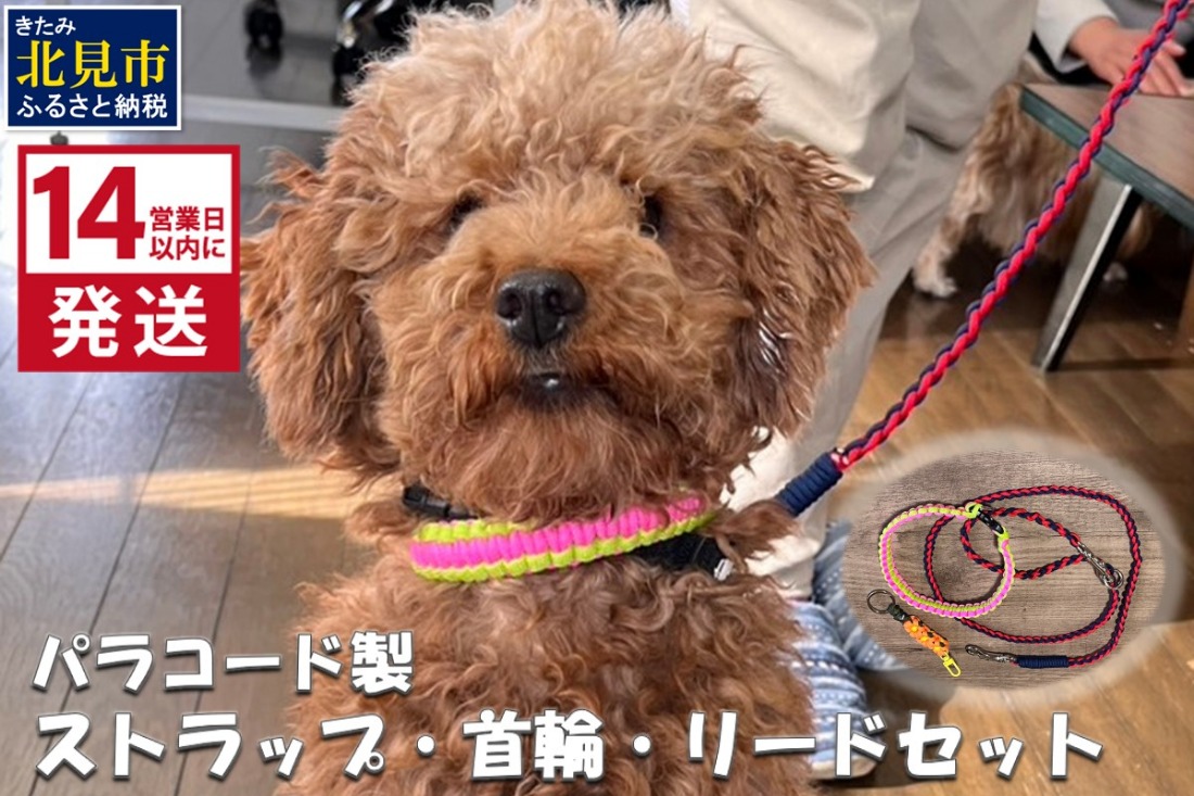 《14営業日以内に発送》パラコード製 ストラップ 1個 小型犬用首輪 1個 小型犬用リード1本 3点セット ( ペット 犬 小物 わんこ 手作り 首輪 リード )【195-0005】