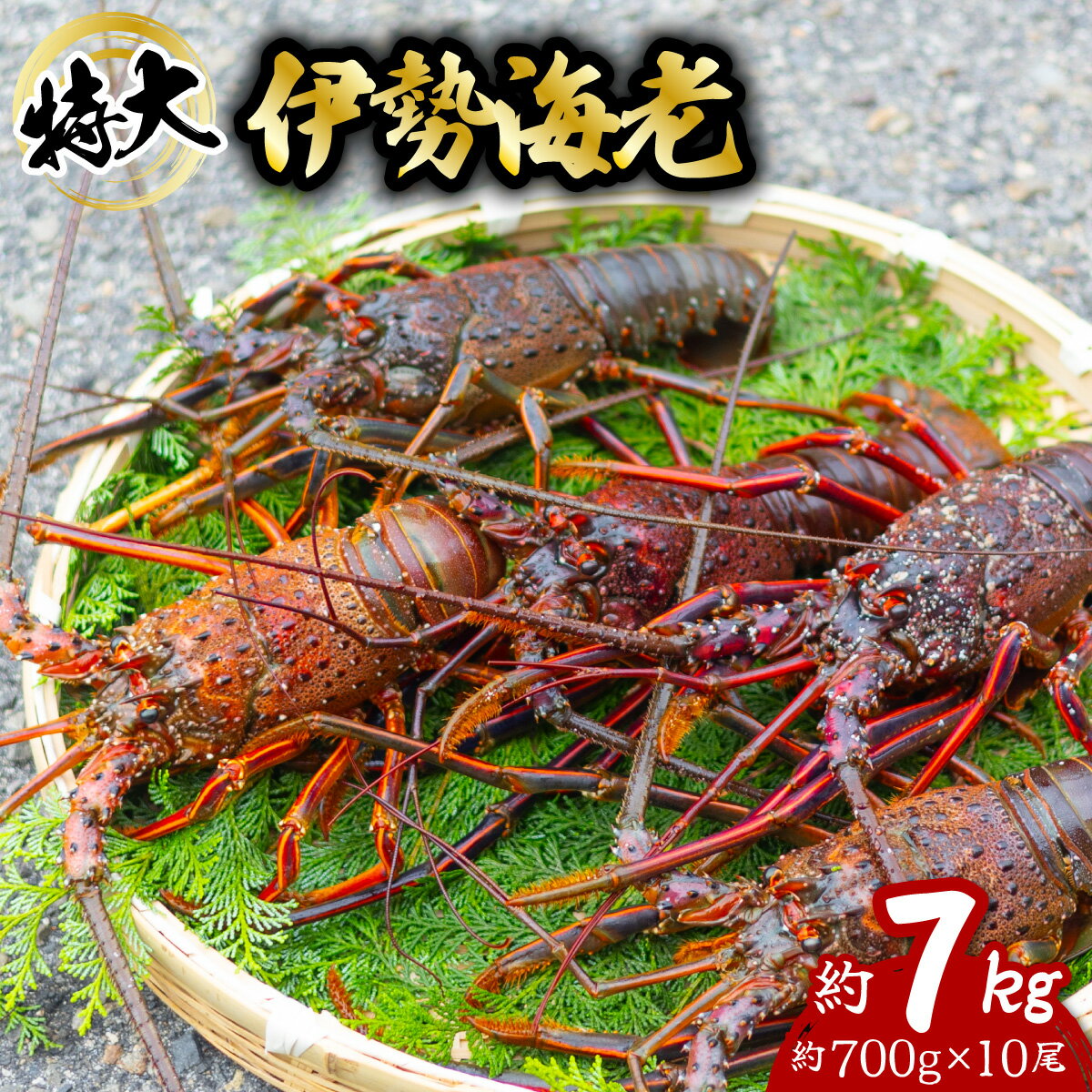 【ふるさと納税】 伊勢海老 特大 約7kg 約700g×10尾 伊勢えび 伊勢エビ いせえび イセエビ 海老 えび エビ 海鮮 海産物 海の幸 おせち 高級 国産 海鮮 ギフト 【年内配送／要配送日指定】