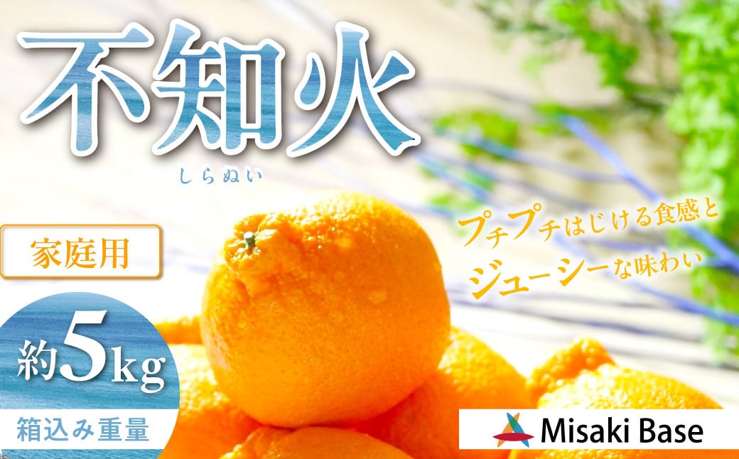 
            【先行受付】【家庭用】不知火（しらぬい） 5kg ※離島への配送不可（2026年2月中旬より順次発送）  【 ふるさと納税 人気 おすすめ ランキング みかん 柑橘 ミカン 蜜柑 mikan 果物 不知火 しらぬい フルーツ 糖度 甘い でこぽん デコポン でこぽんと同品種 家庭用 おすそ分け Misaki Base 愛媛県 伊方町 送料無料 】 IKTAB003 
          