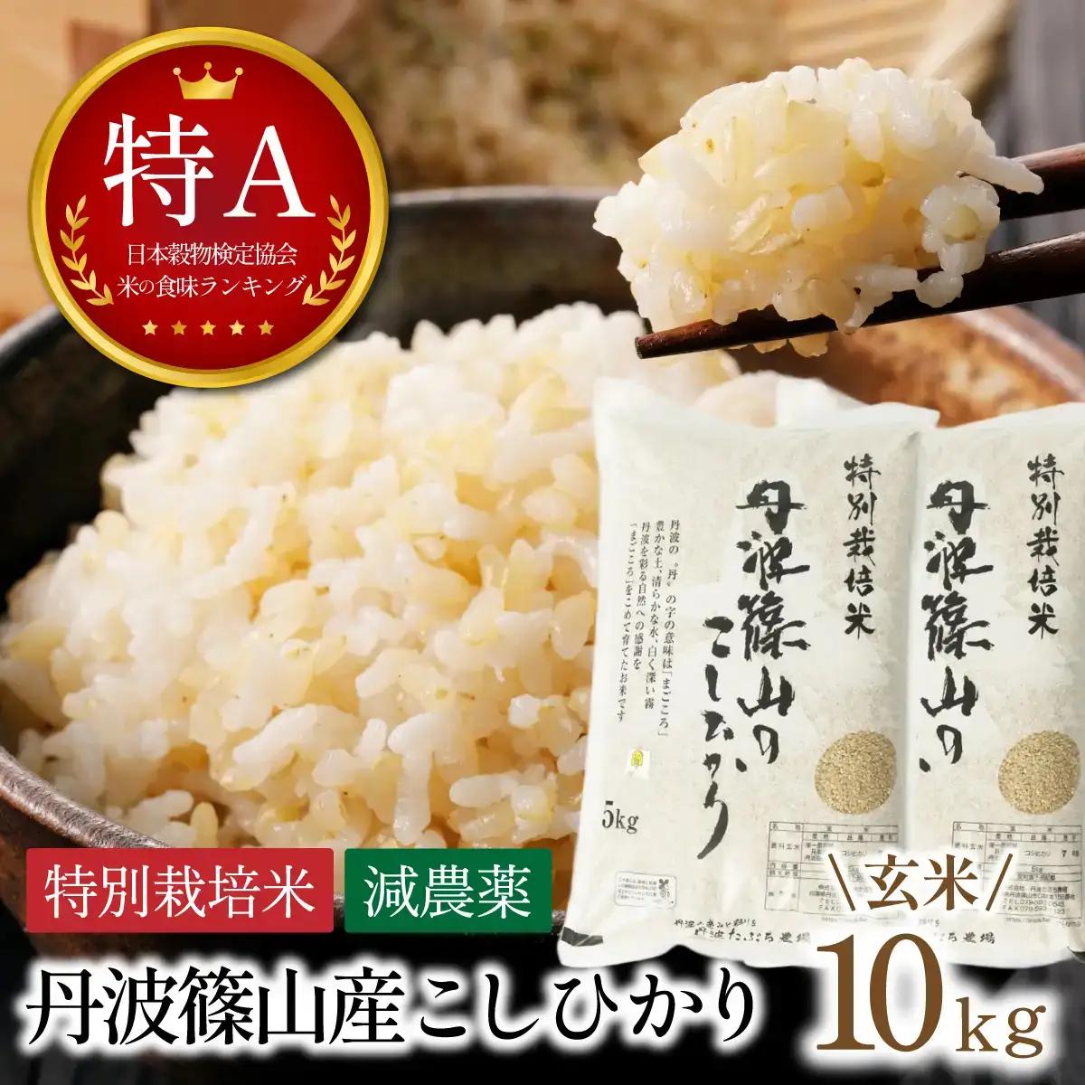 新米予約〈スピード出荷〉減農薬 特A 玄米 丹波篠山産 特別栽培米 こしひかり 10kg 小分け