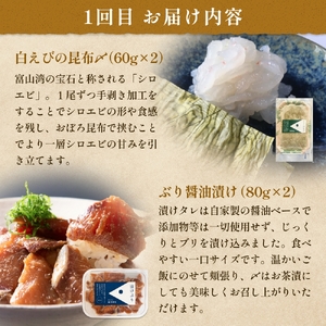 ＜3回定期便＞ご飯のお供定期便 富山県 氷見市 白エビぶり ほたるいか 冷凍 おかず