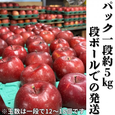 【2025年先行受付】長野直送!信州八ヶ岳のりんごシナノスイート約5kg(12～18玉)蓼科高原【配送不可地域：離島】