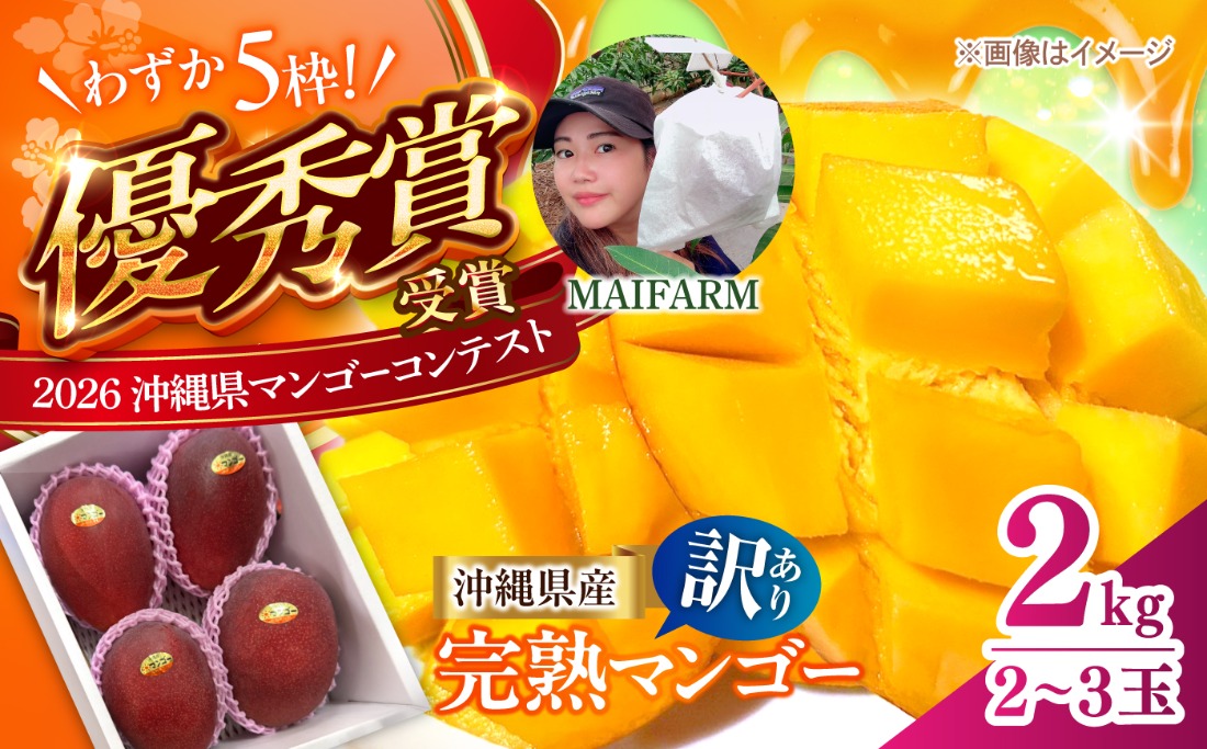 【優秀賞受賞】沖縄県産 完熟マンゴー 訳アリ 2kg (3〜5玉) マンゴー 沖縄 果物 フルーツ ギフト 沖縄市 / MAIFARM[BCAN004]
