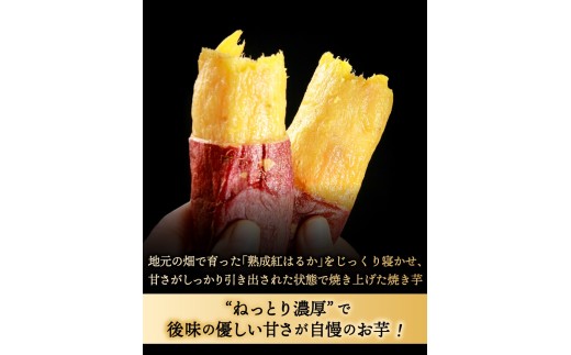 訳あり 冷凍焼きいも 約1.5kg（約500g×3袋） 熟成 焼き芋 紅はるか 冷凍焼芋 冷凍焼き芋 冷凍やきいも おやつ さつまいも スイーツ 焼芋 芋 冷凍 茨城県産 ねっとり 濃厚 さつま芋 人