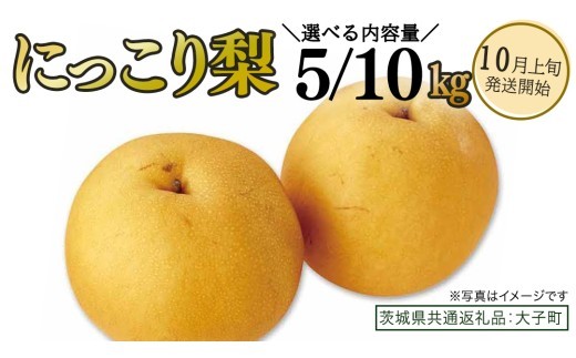 
                  【 選べる 内容量 】にっこり梨 約5kg / 約10kg 【2026年10月上旬発送開始】(茨城県共通返礼品：大子町) 梨 なし 果物 くだもの フルーツ にっこり
                