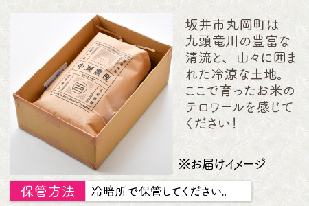 【6ヶ月連続お届け】福井県坂井市丸岡町産 コシヒカリ（玄米）10kg×6回　計60kg  [H-11301_02]
