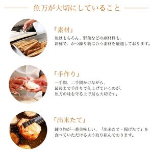 お歳暮限定 さつま揚げ プレミアムセット 20-064